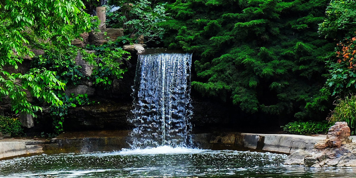 تور پاییزه باغ گیاه‌شناسی تهران با دکتر مجید اسکندری