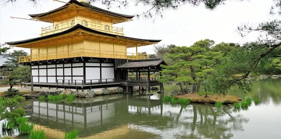 10 روز ژاپن؛ سرزمین خورشید تابان